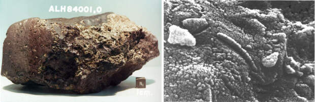Марсианский метеорит.