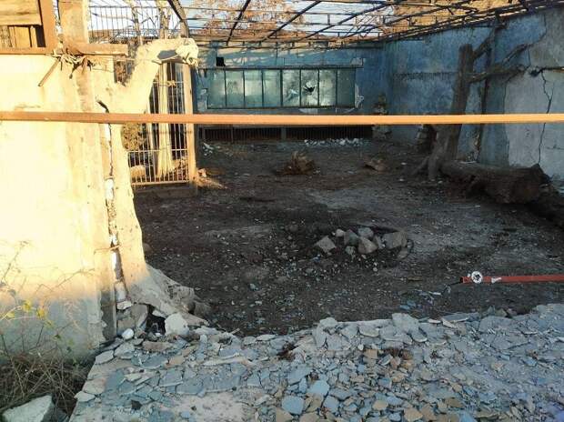 ВСУ атаковали зоопарк в российском регионе