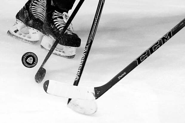 В КХЛ стали известны все участники Кубка Гагарина