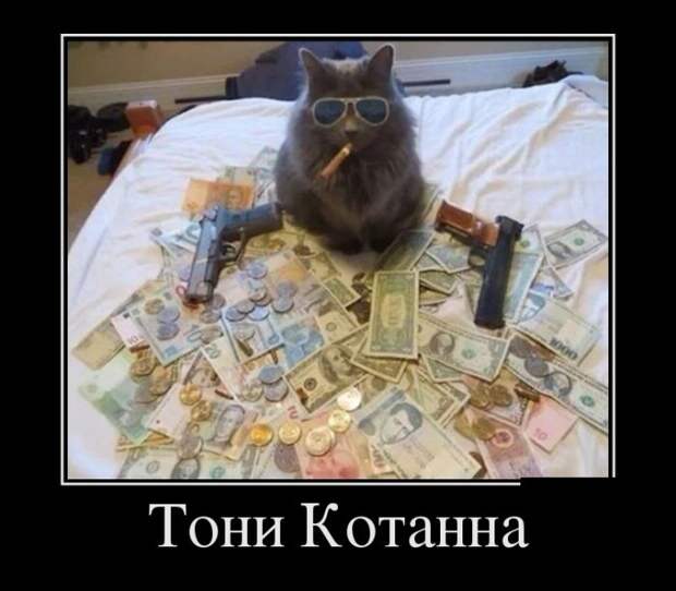 Демотиваторы