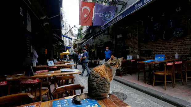 В Турции зафиксировали максимальный суточный прирост случаев COVID-19 с ноября