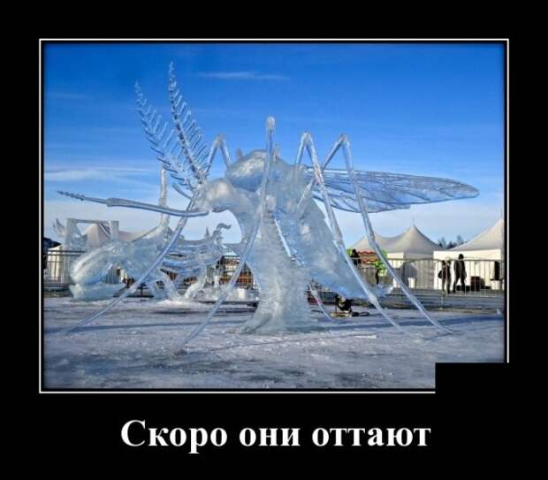 Демотиваторы смешные