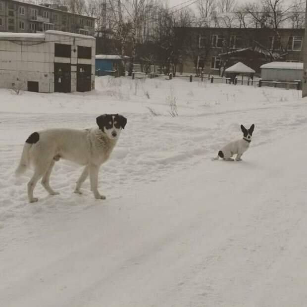 проблема