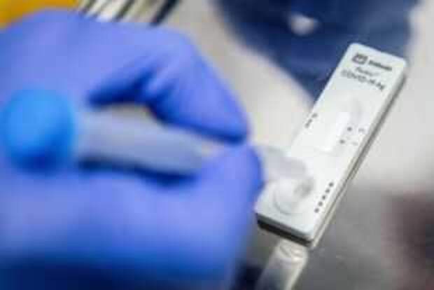 Кому нужно сдавать ПЦР-тесты при въезде в Россию, а кому — нет?