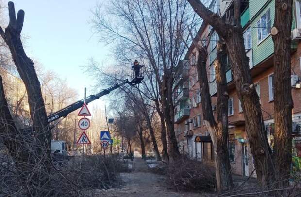 В микрорайоне на правобережье Астрахани провели санитарную обрезку деревьев