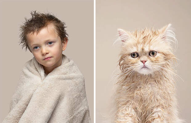 Фотограф делает снимки людей и котов, которые выглядят как двойники | Канобу - Изображение 12