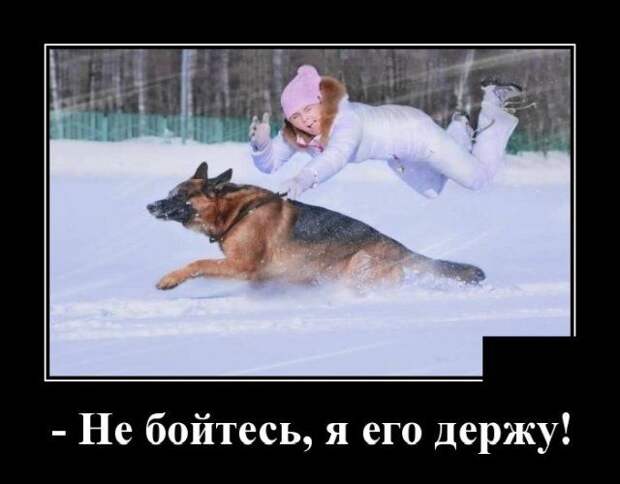 demotivatory-demotivator-smeshnye-demotivatory-demotivator-so-smyslom