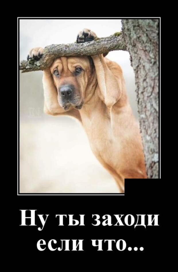 Демотиваторы (30 фото)