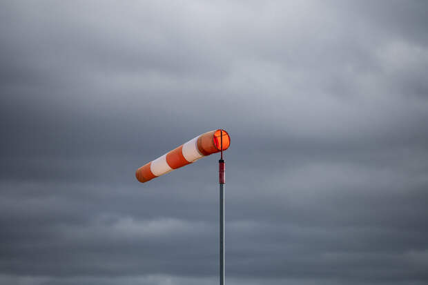 РИА Новости: штормовой ветер в Калининградской области повалил деревья