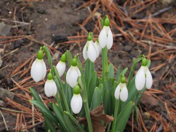 После морозов Кубань накроет аномальное тепло! "Температурные качели" уже в пути