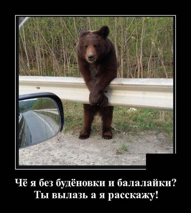 demotivatory-demotivator-smeshnye-demotivatory-demotivator-so-smyslom