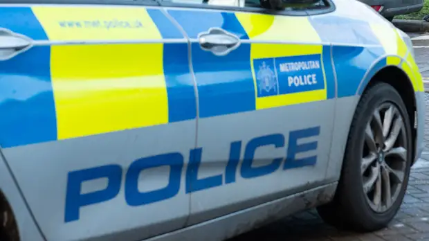 Полиция арестовала фаната «Челси» за расизм в адрес футболиста «Тоттенхэма»