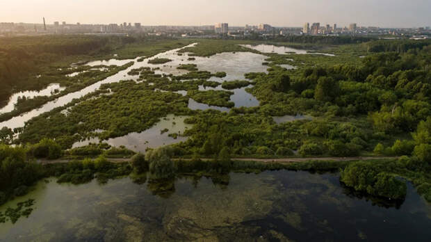 В Москве изменили статус почти всех особо охраняемых природных территорий