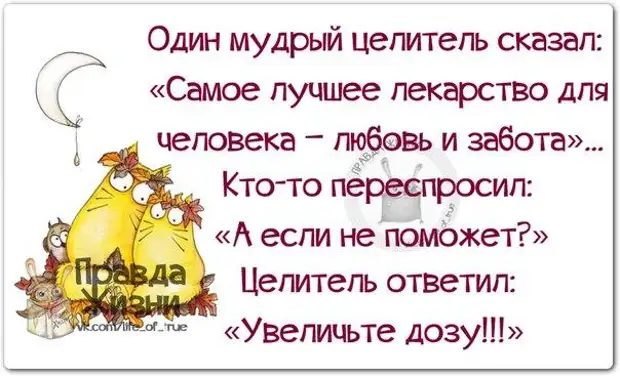 Самое лучшее лекарство. Самое лучшее лекарство для человека любовь и забота. Самое лучшее лекарство для человека. Смешные высказывания о заботе. Цитата лучшее лекарство любовь и забота.