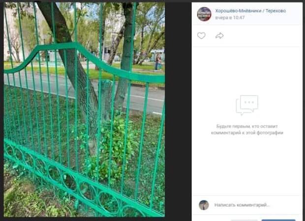 На улице Маршала Тухачевского покрасили не только забор, но и траву