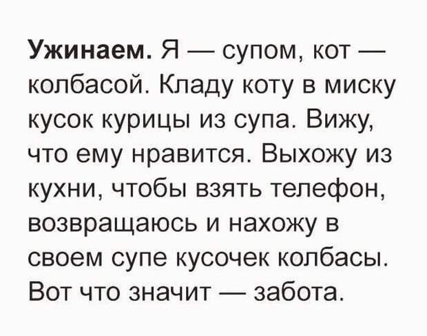 Смешные и забавные истории и шутки для настроения из жизни