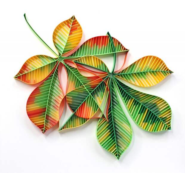 Фотография: Искусство аппликации: потрясающие бумажные цветы от творческого дуэта JUDiTH + ROLFE №7 - BigPicture.ru
