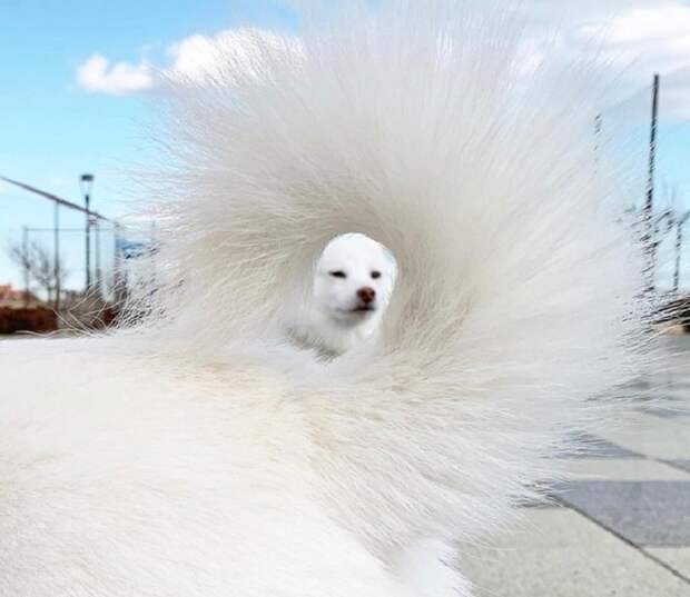 И без фотошопа обязательно найдется эффектный кадр!