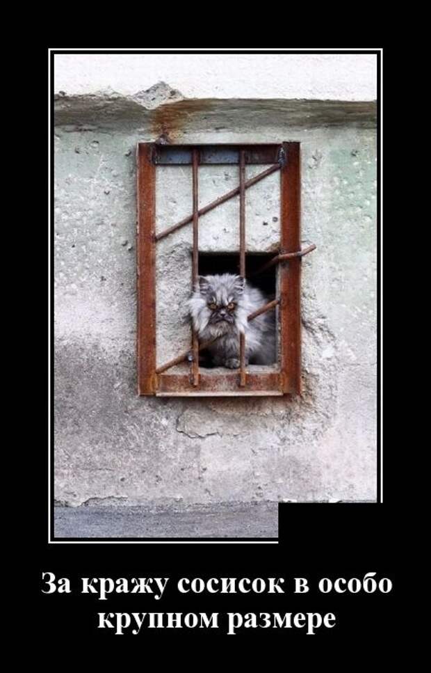 Демотиваторы смешные