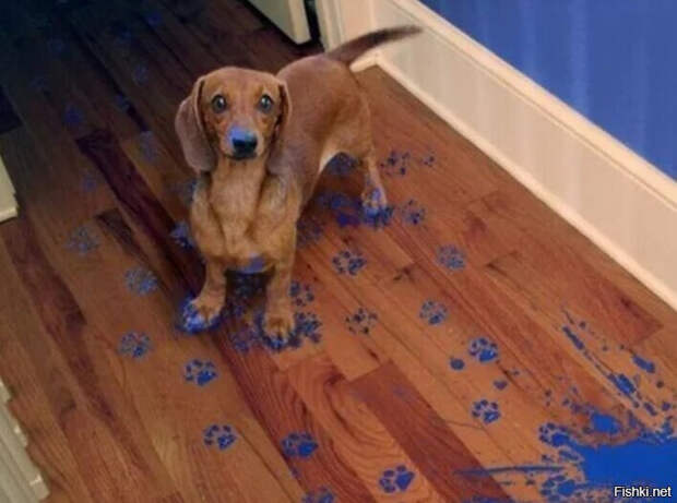 0a2aeb8b8dcf66f515db1b6ca696ac9d (700x521, 294Kb)