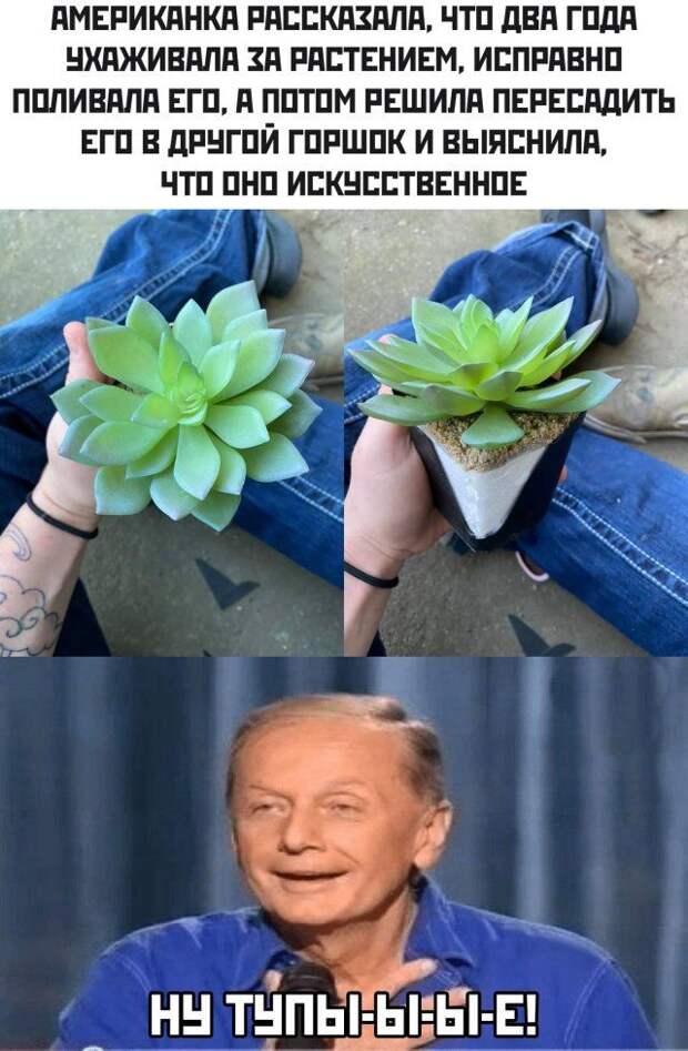 1583462343_rzhaka-3.jpg