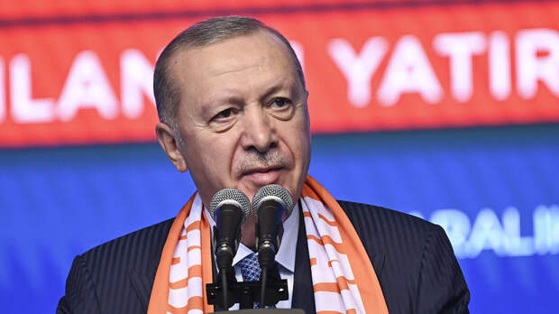 Эрдоган сообщил о планах обсудить Украину с Трампом 6 января