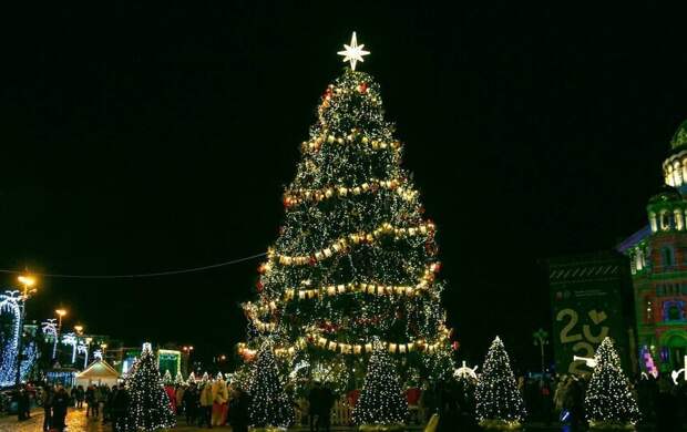 Ель в Кронштадте лидирует в голосовании конкурса “Ёлки России”