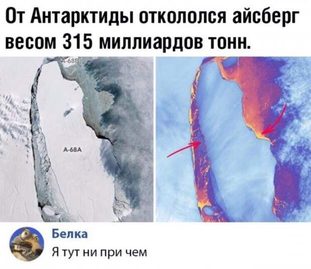 1583462355_rzhaka-5.jpg