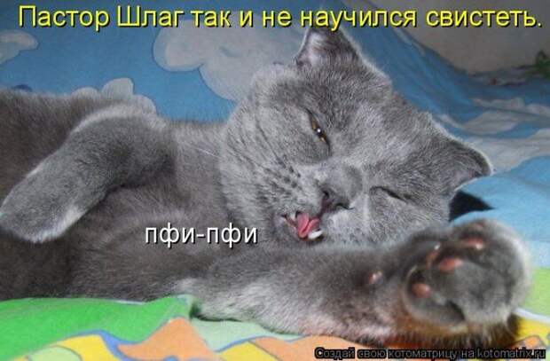 Мысли вслух :)