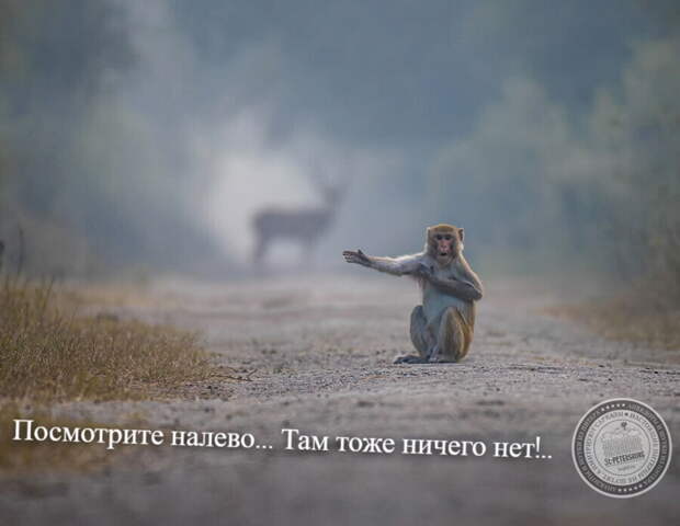 Посмотрите налево