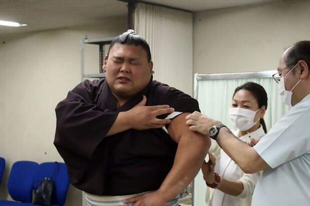 Сейчас в Японии началась эпидемия гриппа, так что без процедуры борцам просто не обойтись  прививка, сумо