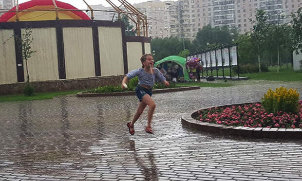 Ливень, соседи, пироги и чай на еловых шишках