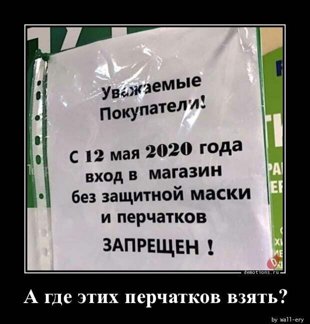 1589958788_demki-9.jpg