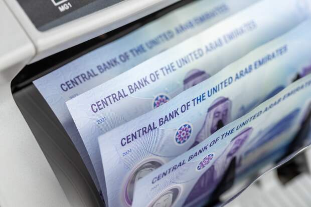 «Новому доллару» из ОАЭ предрекли незавидную судьбу