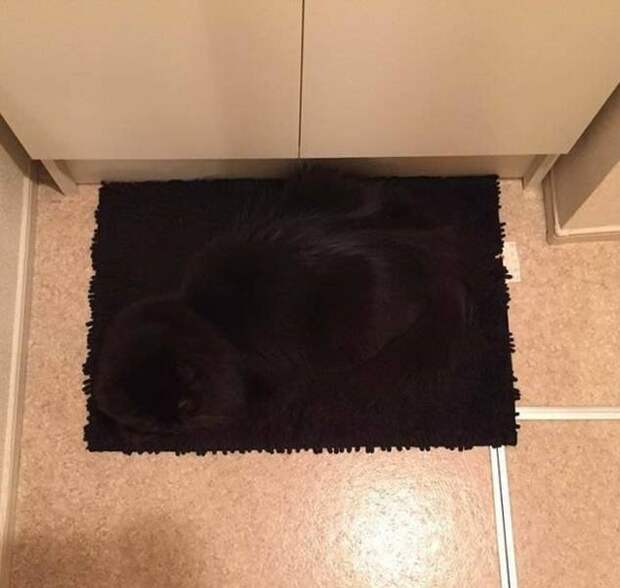 Снимки, на которые стоит посмотреть дважды