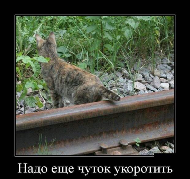 Изумительные Демотиваторы