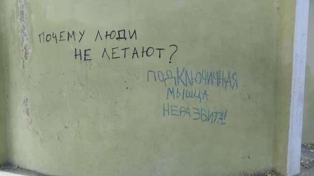 Задай вопрос - получи ответ Задай вопрос - получи ответ