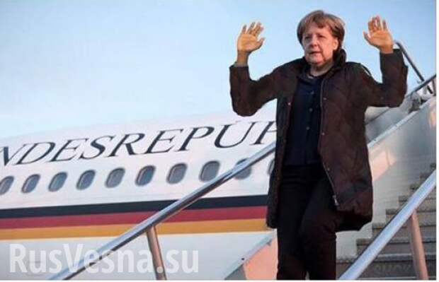Как г-жа Меркель приезжала к Путину в Сочи Украину покупать | Русская весна
