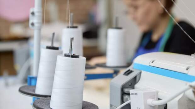 Овчинский: столичный производитель создал линию одежды из яблочной кожи и тенселя