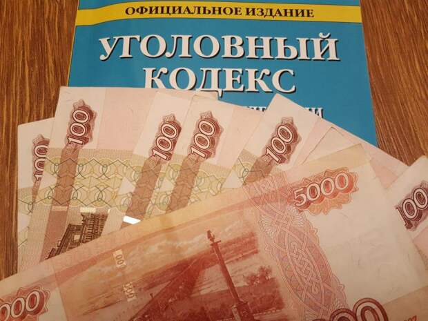 Мошенничество. Фото: Пресс-служба УВД по САО