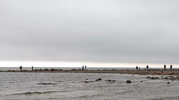Двое детей утонули в Финском заливе в Петербурге