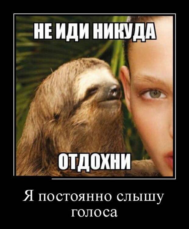 Позитивные и прикольные демотиваторы для настроения (11 фото)