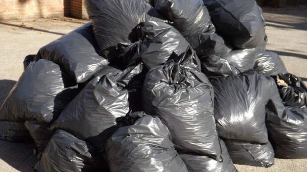 Власти Рубцовска признали проблему с вывозом мусора