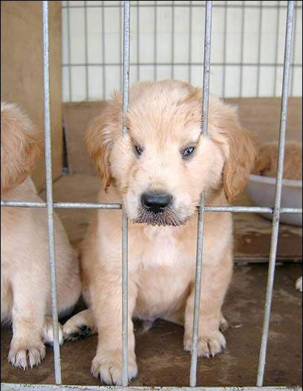 Позитивный микс (47фото)