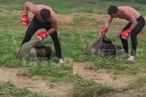 В Инстаграм выложили видео с истязаниям новобранца В Инстаграм выложили видео с истязаниям новобранца
