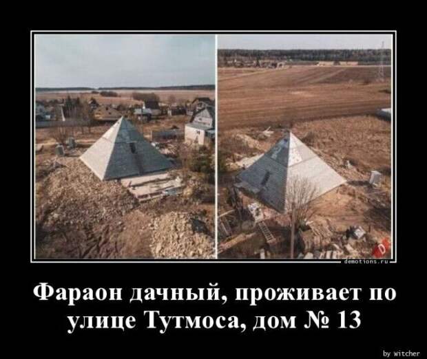 1589958788_demki-11.jpg
