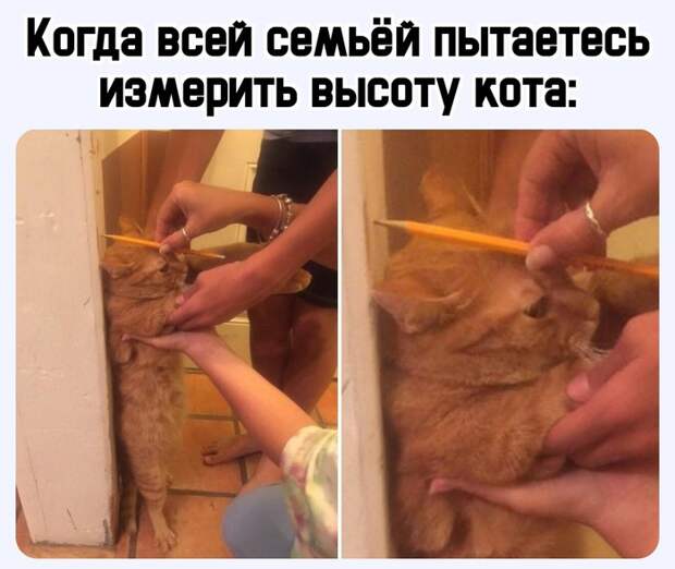 Карантин, он такой Карантин, он такой