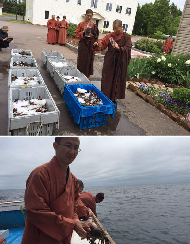 53. Монахи купили 270 кг лобстеров и выпустили их в океан  доброта, мир, поступок