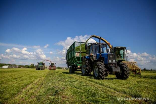 128,1 тыс. гектаров многолетних трав убирается вторым укосом в Могилевской области.