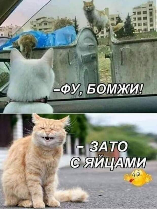 ПРИКОЛЬНЫЕ КАРТИНКИ # 51
